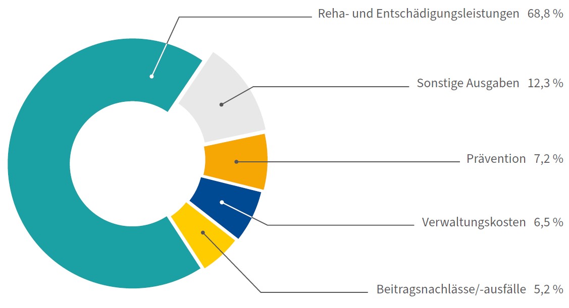 Visualisierung der Verteilung der Ausgaben 2024